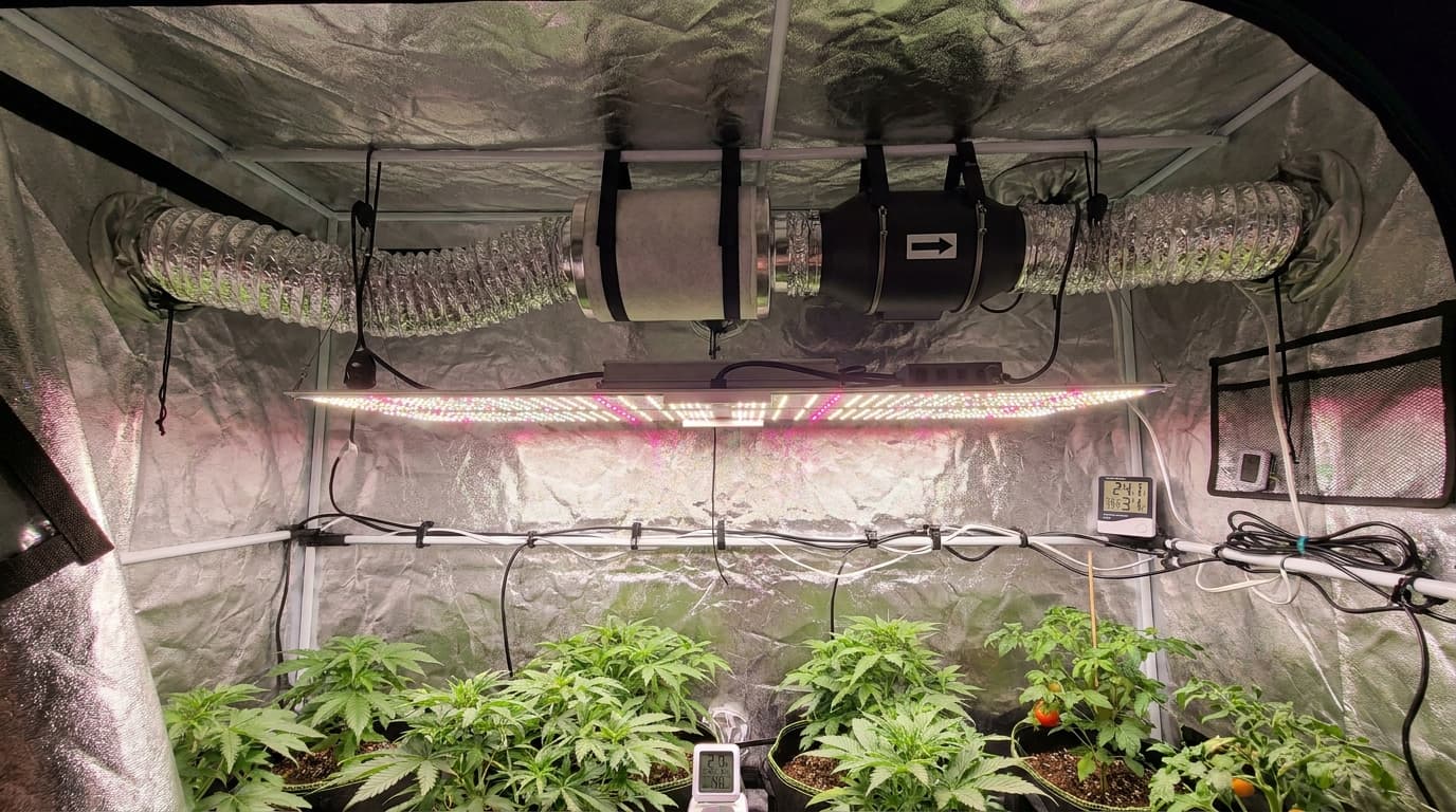 Best Silent Ventilation Fans for Indoor Grow Tents